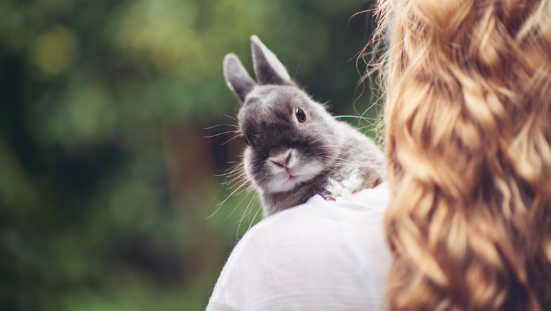 Proč je dobré používat na pleť veganskou kosmetiku?